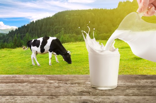Đánh giá chung về sữa aptamil anh nhập khẩu chính hãng của ecolife
